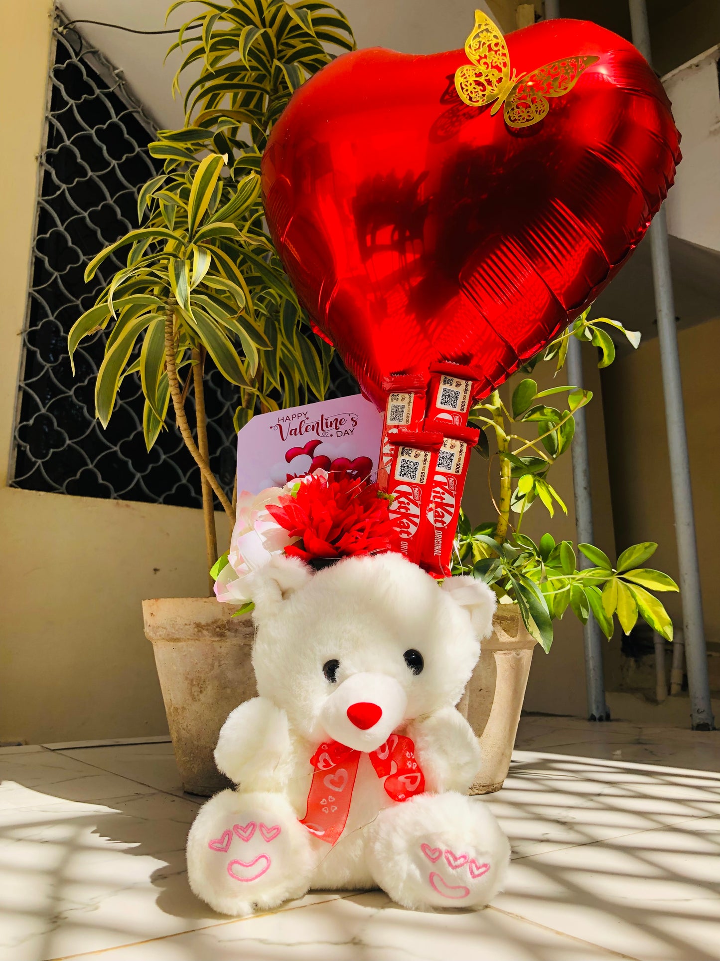 Teddy Choco Box