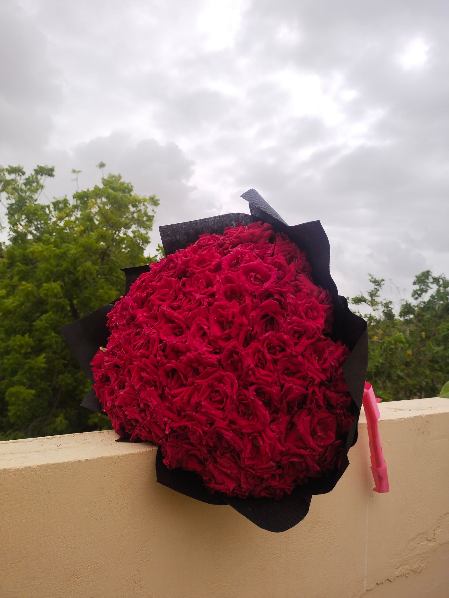 200 Red Roses Bouquet