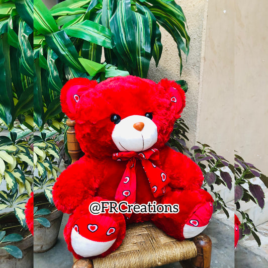 Red Medium Teddy